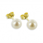 Preview: Ohrstecker SWZP 6mm - Gold 333/000