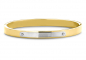 Preview: Lovebird Armreif mit Schild Edelstahl IPG