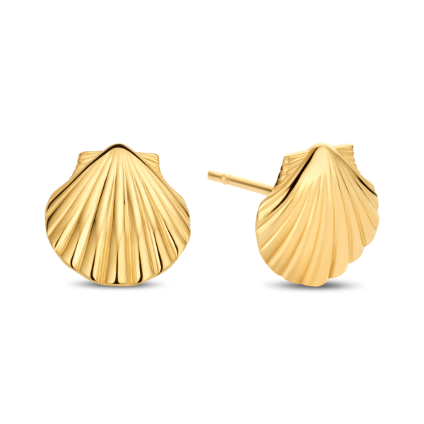 Ohrstecker Muschel Gold 585/000