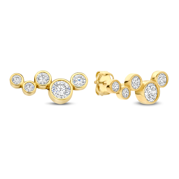 Ohrstecker 10 Zirkonia Gold 585/000